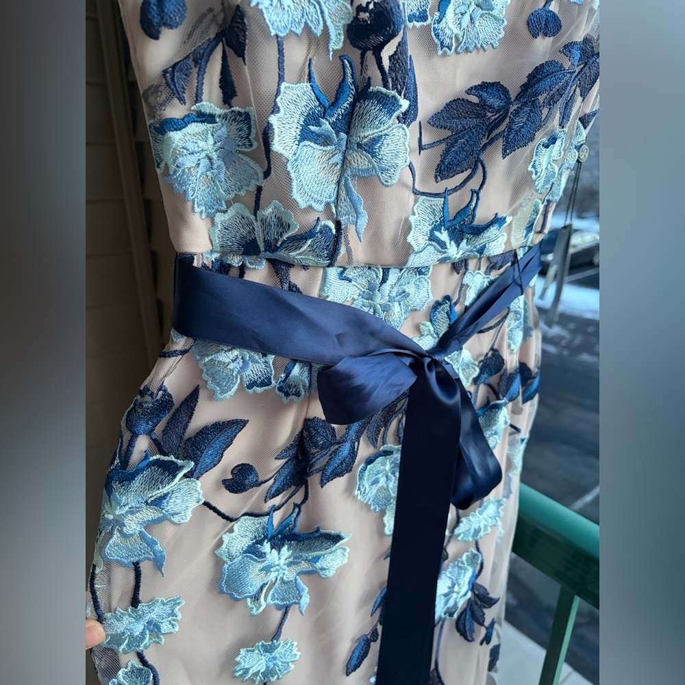 🆕 Adrianna Papell Nude & Blue Embroidered Mesh Gown Floral Column Dress Size 4 - Picture 9 of 17
